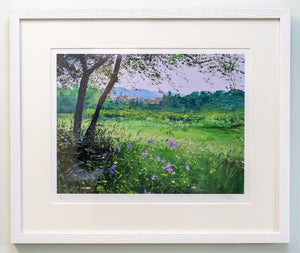 Wild Meadow, Lourmarin (framed)