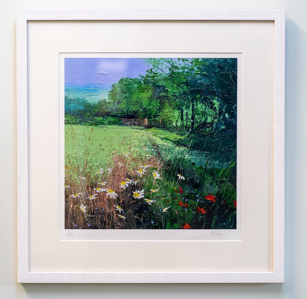 Ox-Eye Daisies, Field Edge (Giclee Print)  (framed)