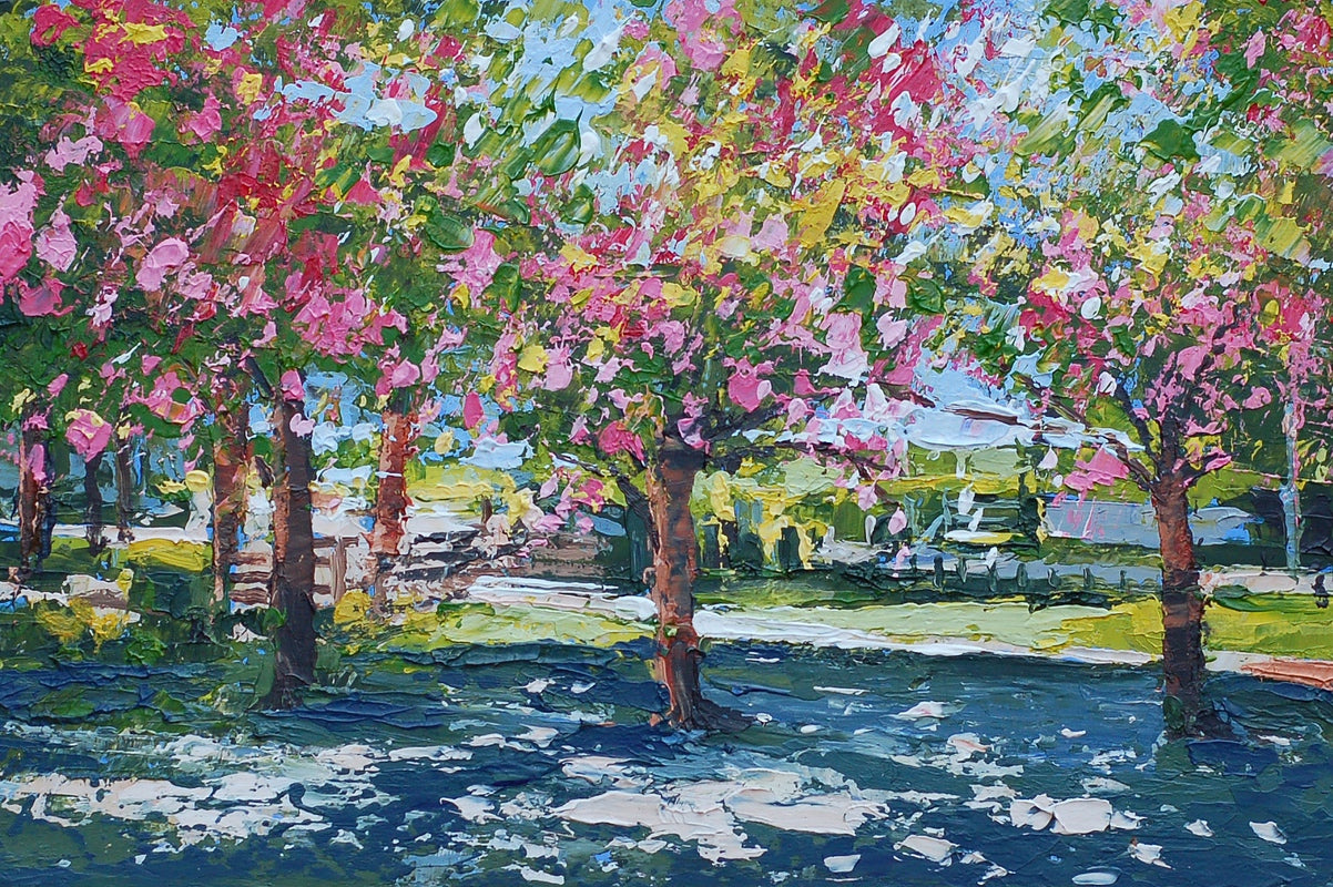 Sunlit Cherry Trees, Bournville Park