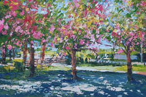 Sunlit Cherry Trees, Bournville Park