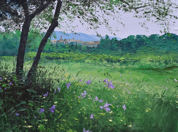 Wild Meadow, Lourmarin (framed)